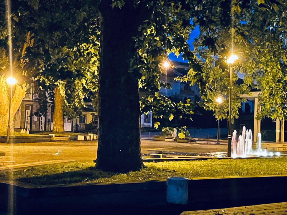 Motel Platani Kotor Varos エクステリア 写真